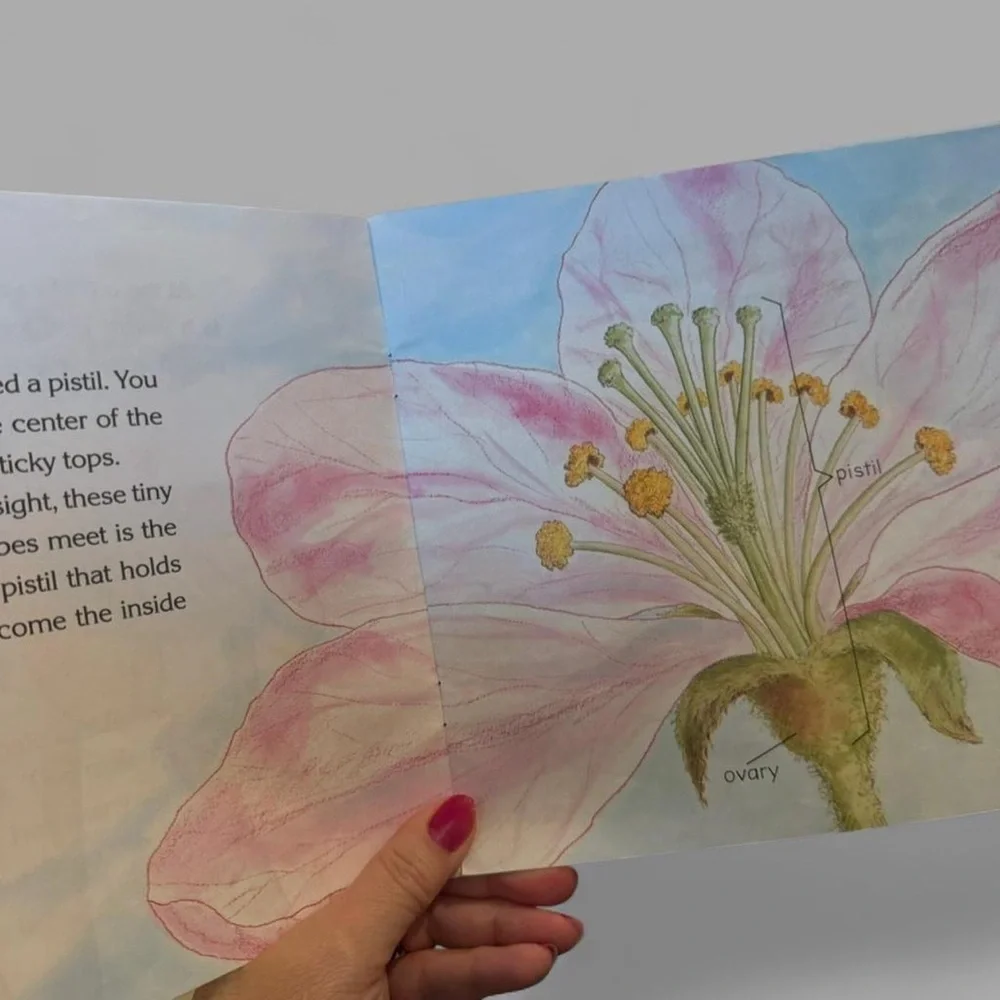 Plant themed 3 books children's books bundle